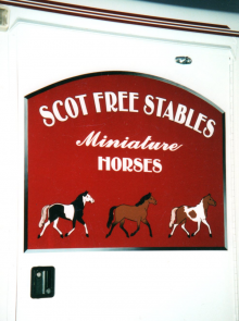 Scot Free Stables245
