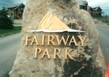 Fairway 3d 261