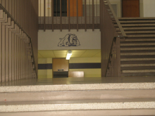 Midland Bulldog on Stairwell
