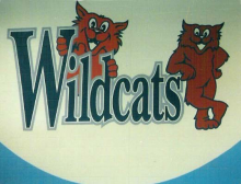 Wellington Wildcat Mascot