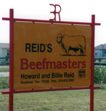 Reid Beefmasters 274