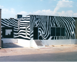 Zebra Buidling404